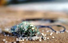 Article Image for Understanding Microplastics and How to Avoid Them