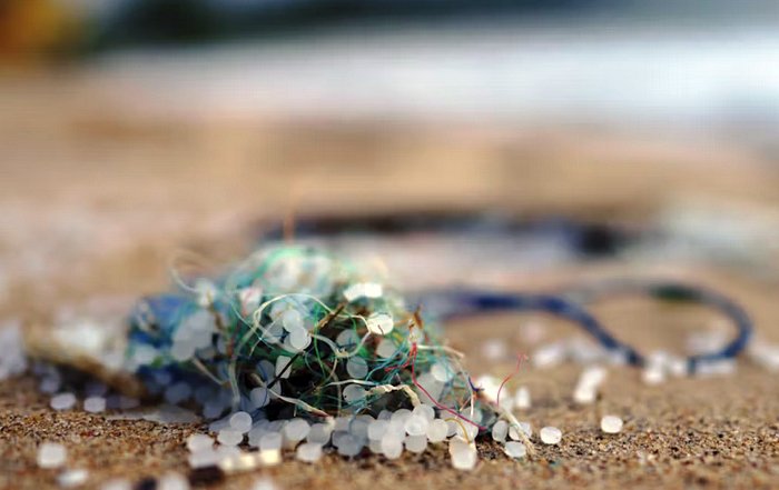 Article Image for Understanding Microplastics and How to Avoid Them