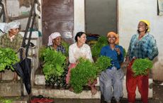 Article Image for Understanding the Benefits of Community Supported Agriculture