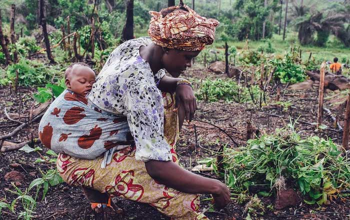 Understanding Sustainable Farming and Agriculture