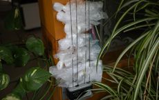 Article Image for Upcycling Projects for Everyday Items